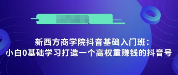 抖音基础入门班：小白0基础学习打造一个高权重赚钱的抖音号-赚钱驿站