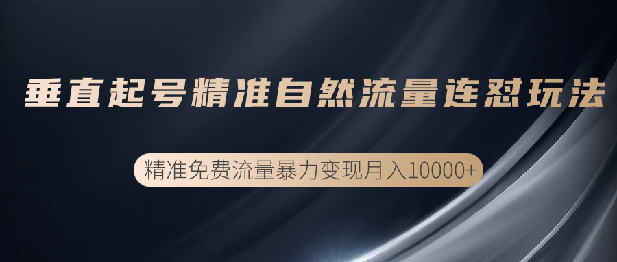 垂直起号精准自然流量连爆玩法，精准引流暴力变现月入10000+-赚钱驿站