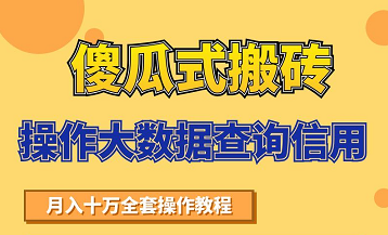 搬砖操作大数据查询信用项目赚钱教程，祝你快速月入6万-赚钱驿站