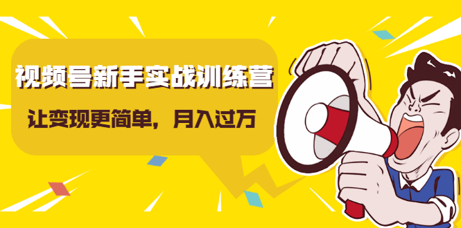 视频号新手实战训练营，让变现更简单，玩赚视频号，轻松月入过万-赚钱驿站