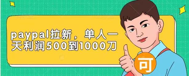 Paypal拉新赚美刀项目，单人一天利润500-1000刀【视频课程】-赚钱驿站