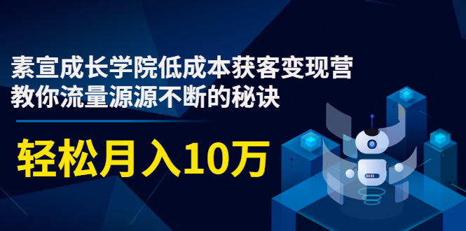 素宣成长学院低成本获客变现营，教你流量源源不断的秘诀，轻松月入10万-赚钱驿站