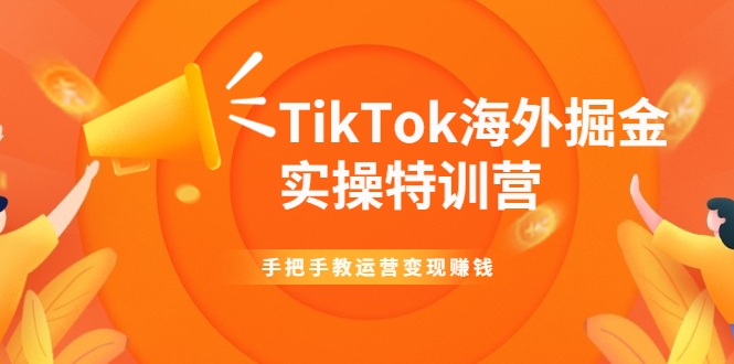 TikTok海外掘金实操特训营：手把手教运营变现赚钱-赚钱驿站