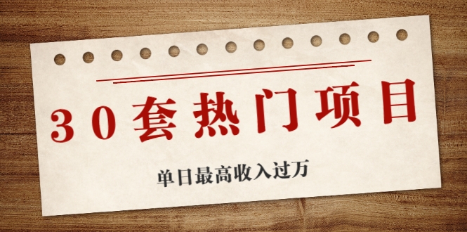 30套热门项目：单日最高收入过万 (网赚项目、朋友圈、涨粉套路、抖音、快手)等-赚钱驿站