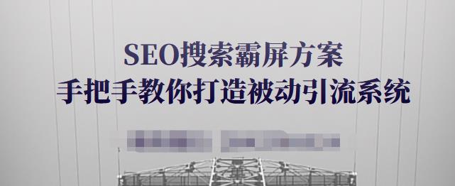 SEO搜索霸屏方案，手把手教你打造被动引流系统【视频课程】-赚钱驿站