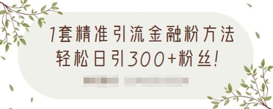 1套精准引流金融粉方法，轻松日引300+粉丝-赚钱驿站