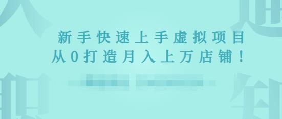 2022年虚拟项目实战指南，新手从0打造月入上万店铺-赚钱驿站