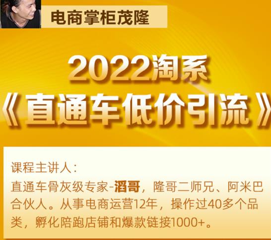 茂隆2022直通车低价引流玩法，教大家如何低投入高回报的直通车玩法-赚钱驿站