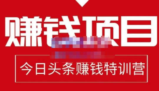 懒人领域·今日头条项目玩法，头条中视频项目，单号收益在50—500可批量-赚钱驿站