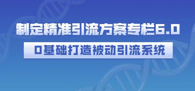 制定精准引流方案专栏6.0，0基础打造被动引流系统-赚钱驿站