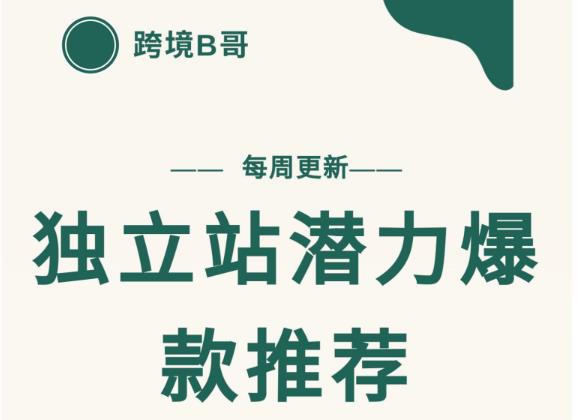 【跨境B哥】独立站潜力爆款选品推荐，测款出单率高达百分之80-赚钱驿站