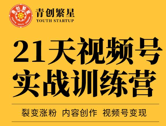 张萌21天视频号实战训练营，裂变涨粉、内容创作、视频号变现 价值298元-赚钱驿站