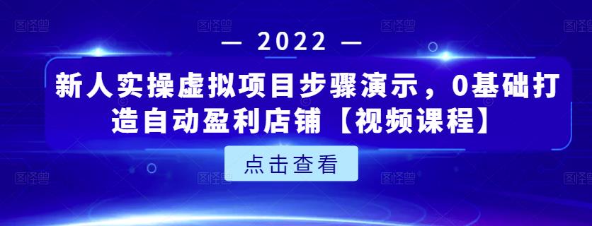 新人实操虚拟项目步骤演示，0基础打造自动盈利店铺【视频课程】-赚钱驿站