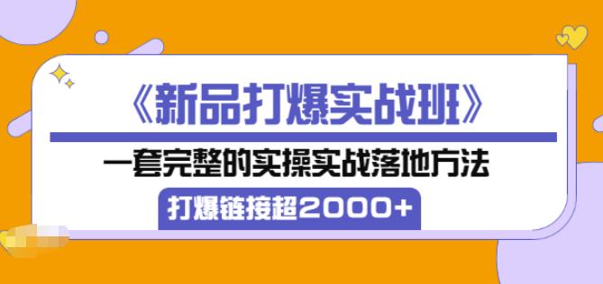 凌童《新品打爆实战班》,一套完整的实操实战落地方法，打爆链接超2000+（28节课)-赚钱驿站