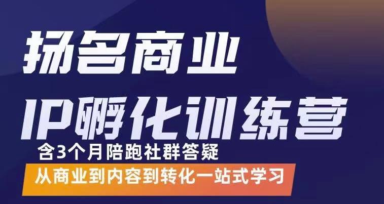 杨名商业IP孵化训练营，从商业到内容到转化一站式学 价值5980元-赚钱驿站