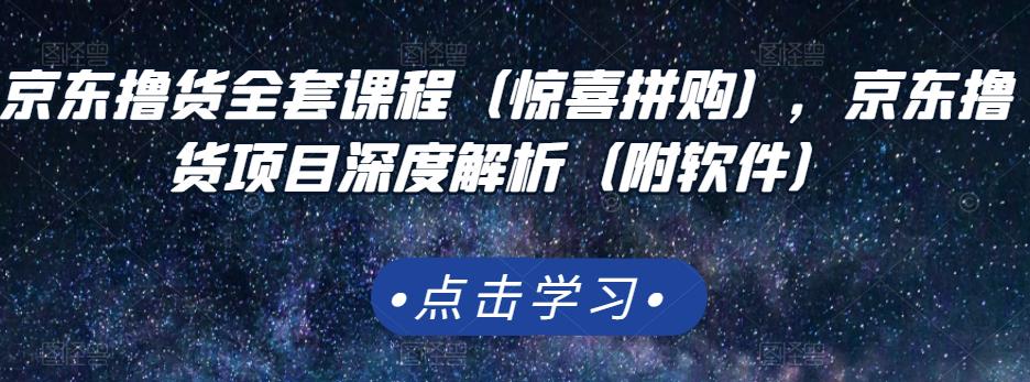 京东撸货全套课程（惊喜拼购），京东撸货项目深度解析（附软件）-赚钱驿站