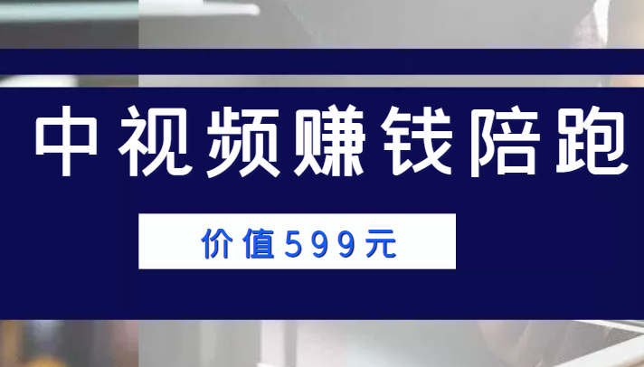 中视频赚钱陪跑，卖中视频账户赚钱收益陪跑项目（价值599元）-赚钱驿站