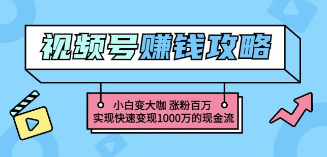 玩转微信视频号赚钱：小白变大咖涨粉百万实现快速变现1000万的现金流-赚钱驿站