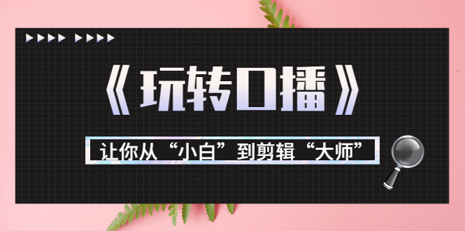 月营业额700万+大佬教您《玩转口播》让你从“小白”到剪辑“大师”-赚钱驿站