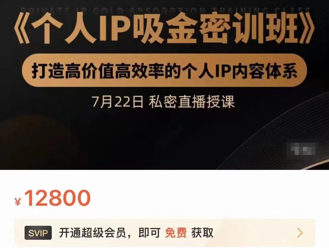 个人IP吸金密训班，打造高价值高效率的个人IP内容体系（价值12800元）-赚钱驿站