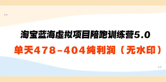 淘宝蓝海虚拟项目陪跑训练营5.0：单天478纯利润-赚钱驿站