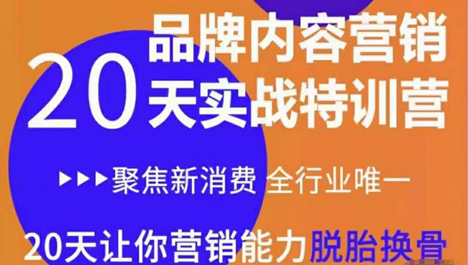 《内容营销实操特训营》20天让你营销能力脱胎换骨（价值3999）-赚钱驿站