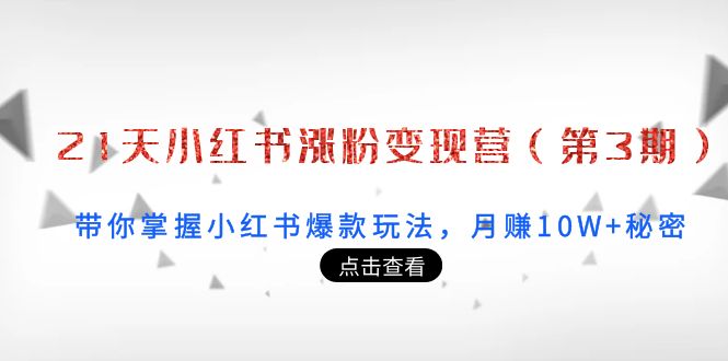 21天小红书涨粉变现营（第3期）：带你掌握小红书爆款玩法，月赚10W+秘密-赚钱驿站