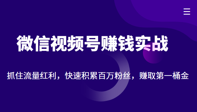 微信视频号赚钱实战：抓住流量红利，快速积累百万粉丝，赚取你的第一桶金-赚钱驿站