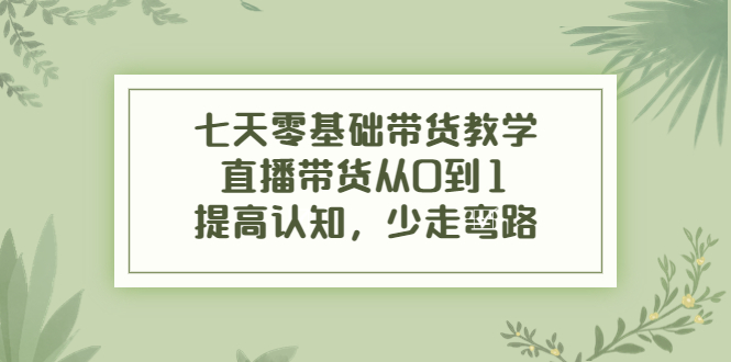 七天零基础带货教学，直播带货从0到1，提高认知，少走弯路-赚钱驿站