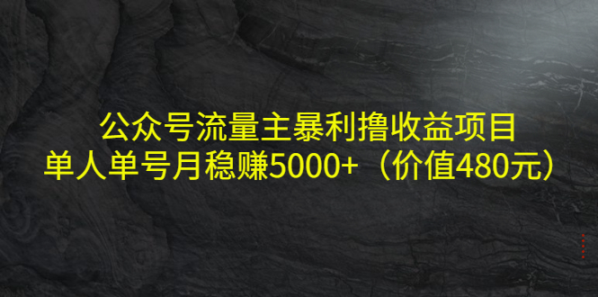 公众号流量主暴利撸收益项目，单人单号月稳赚5000+（价值480元）-赚钱驿站