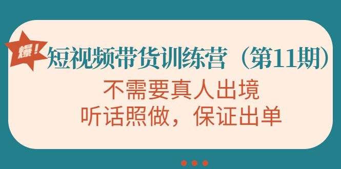 视频带货训练营，不需要真人出境，听话照做，保证出单（第11期）-赚钱驿站