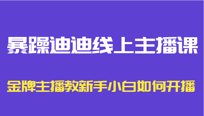 暴躁迪迪线上主播课，金牌主播教新手小白如何开播-赚钱驿站