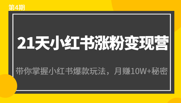 21天小红书涨粉变现营（第4期）：带你掌握小红书爆款玩法，月赚10W+秘密-赚钱驿站