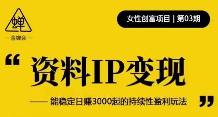 资料IP变现，能稳定日赚3000起的持续性盈利玩法-赚钱驿站