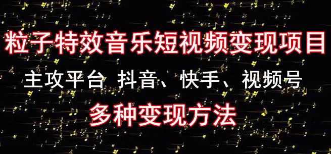 黄岛主《粒子特效音乐短视频变现项目》主攻平台抖音、快手、视频号多种变现方法-赚钱驿站