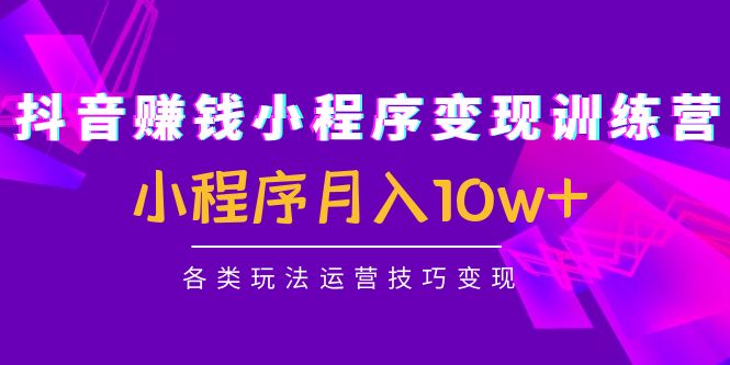 抖音赚钱小程序变现训练营：小程序月入10w+各类玩法运营技巧变现-赚钱驿站