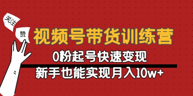 视频号带货训练营：0粉起号快速变现，新手也能实现月入10w+-赚钱驿站