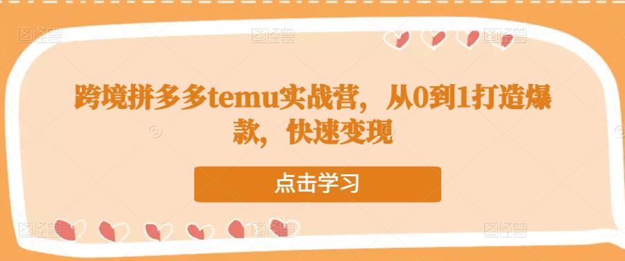 跨境拼多多temu实战营，从0到1打造爆款，快速变现-赚钱驿站