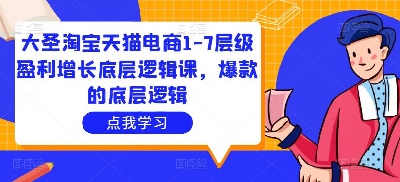 大圣淘宝天猫电商1-7层级盈利增长底层逻辑课，爆款的底层逻辑-赚钱驿站