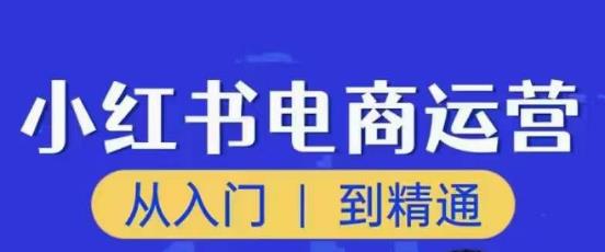 顽石小红书电商高阶运营课程，从入门到精通，玩法流程持续更新-赚钱驿站