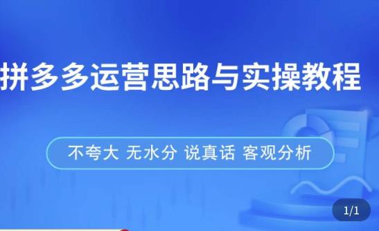 拼多多店铺运营思路与实操教程，快速学会拼多多开店和运营，少踩坑，多盈利-赚钱驿站