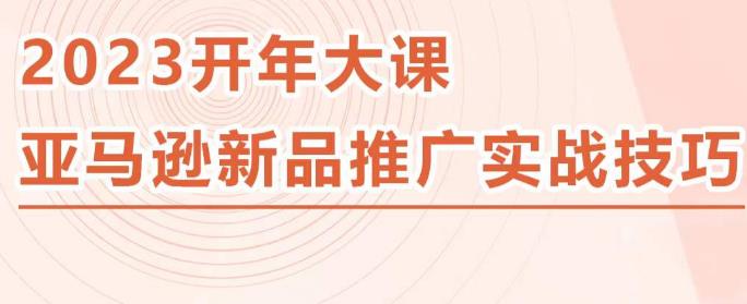 2023亚马逊新品推广实战技巧，线下百万美金课程的精简版，简单粗暴可复制，实操性强的推广手段-赚钱驿站