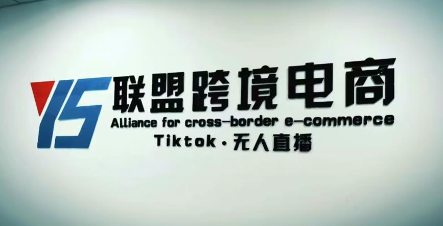 YS联盟·Tiktok无人直播，不出镜不剪辑不拍摄不发货无售后的跨境短视频躺赚玩法-赚钱驿站