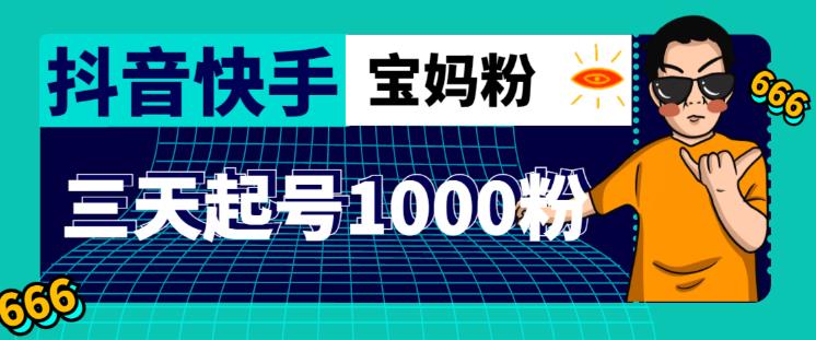 抖音快手三天起号涨粉1000宝妈粉丝的核心方法【详细玩法教程】-赚钱驿站