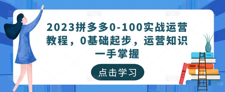 2023拼多多0-100实战运营教程，0基础起步，运营知识一手掌握-赚钱驿站