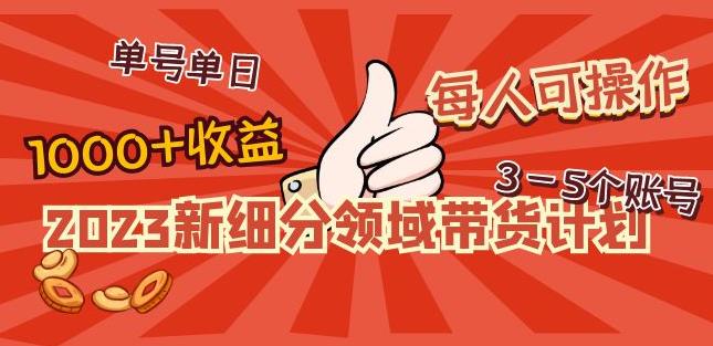 2023新细分领域带货计划：单号单日1000+收益不难，每人可操作3-5个账号-赚钱驿站