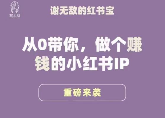 谢无敌·小红书运营大宝典，从0带你做个赚钱的小红书IP-赚钱驿站