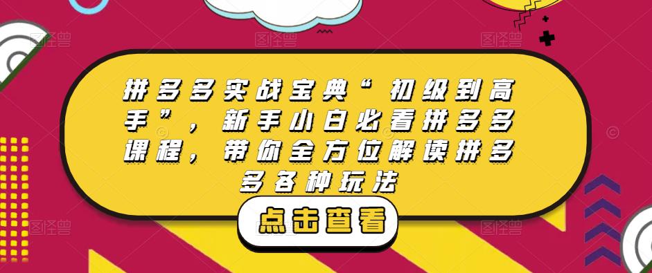 拼多多实战宝典“初级到高手”，新手小白必看拼多多课程，带你全方位解读拼多多各种玩法-赚钱驿站