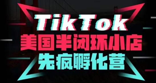 疯人院·TikTok美国半闭环小店孵化营，抢占TikTok美国蓝海市场，开店、运营、带货、投流全实操-赚钱驿站