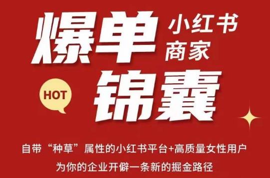 无畏·小红书商家爆单锦囊，掌握小红书各大规则，快速精准抢占行业和市场-赚钱驿站